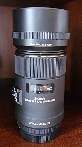 Sigma 105mm dg - dg, macro