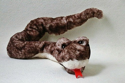 Famosa schlange snake - famosa,