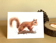 Grußkarte Rotes Eichhörnchen