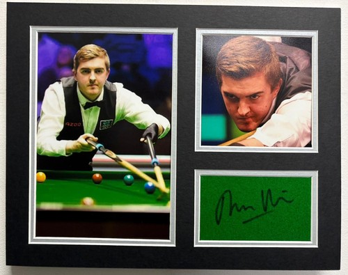 Professioneller snookerspieler - professioneller,