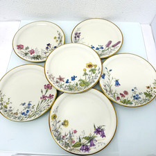 Krautheim Wiesengrund und Bergeshöhn 6 Brotteller kleine Kuchenteller 15,5 cm