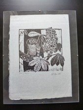 MARLENE REIDEL seltener Holzschnitt Eule Landshut TOP!!!