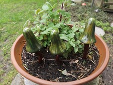 3 Pilze Keramik - Garten -