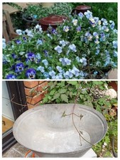 Alte zink wanne saatwanne - zink-wanne,