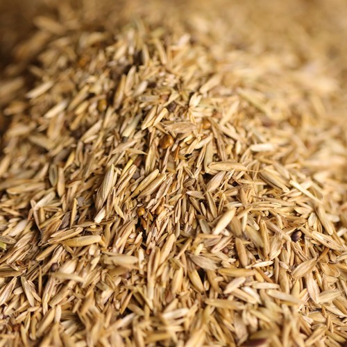 Federgold wachtel und - federgold,