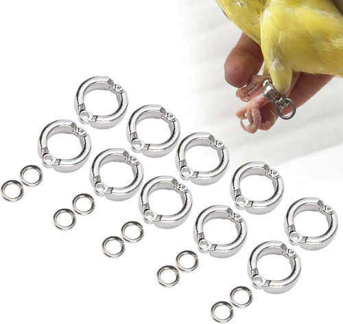 Stück vogel fußringe - stück,