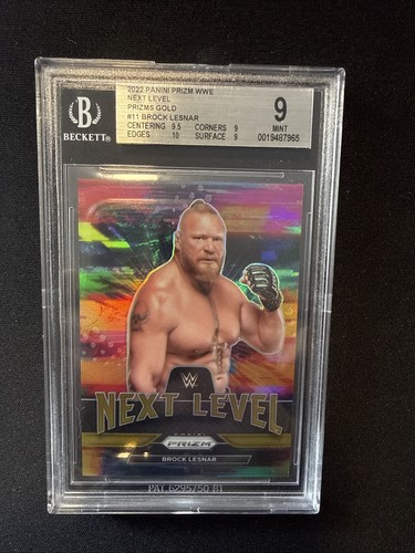 Brock lesnar wwe - lesnar,