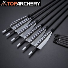 32" Pure Carbon Pfeile Spine