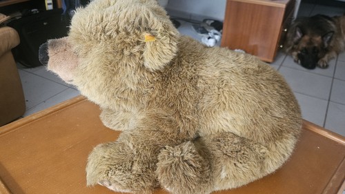 Steiff braunbär urs - braunbär, cm)