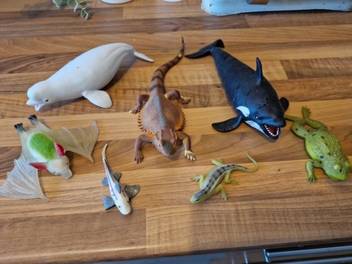 Weichtiere wasser kleine - weichtiere,