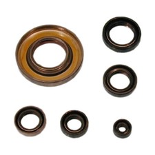 Wellendichtring Satz