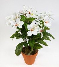 Hibiskus 40cm weiß-creme im
