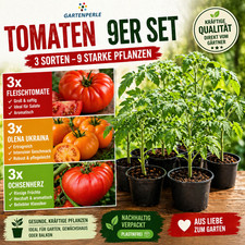 Gartenperle - 9er Set Tomaten