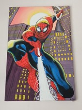 Kunstbild spiderman in acryl - kunstbild,