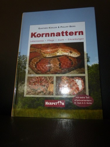 Kornnattern lebensweise pflege - kornnattern,