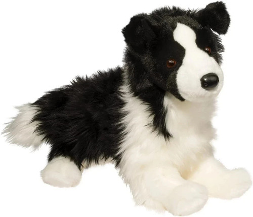 Chase border collie hund - chase,