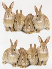 Geschirrtuch Küchentuch 50 x