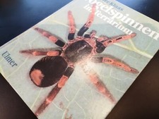 Vogelspinnen im Terrarium. Lebensweise, Haltung und Zucht