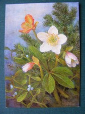 Postkarte Ansichtskarte Kunst Waldorf Blumen Winter Virginie Waltenberger Mistel