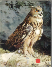 Deutschlands Nationalpark