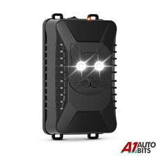 Ultraschall Maus Pest Mäuse