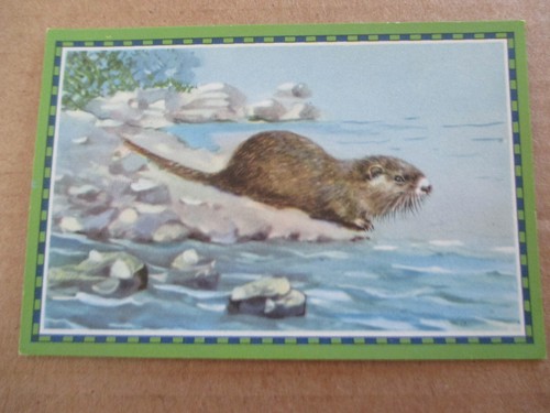 Bild chlorodont - 1.bild,