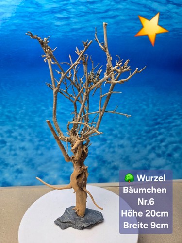 Aquarium wurzel bonsai - 🌳aquarium,