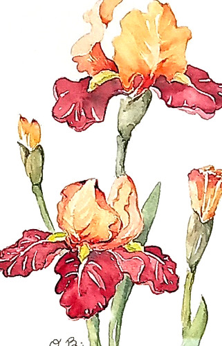 Iris bild neu - neu, handgemalt