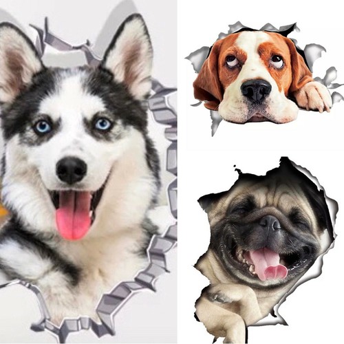 Großes wandtattoo hund dog - hund,