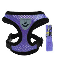 Hundegeschirr Set mit Leine