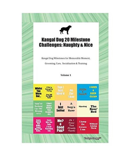 Kangal dog milestone - dog,