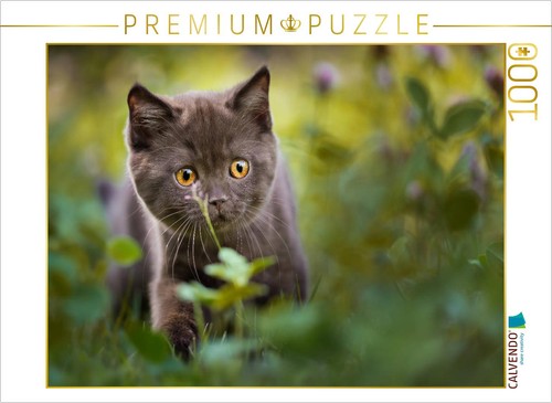Calvendo puzzle kleiner - calvendo,