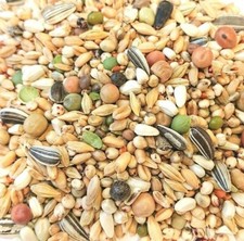 Eurital Taubenfutter für alle