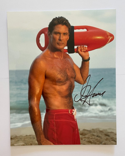 David hasselhoff baywatch - david,