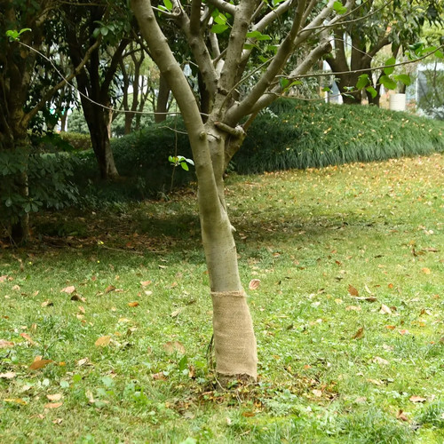 Jutegewebe gartenjute - jutegewebe,
