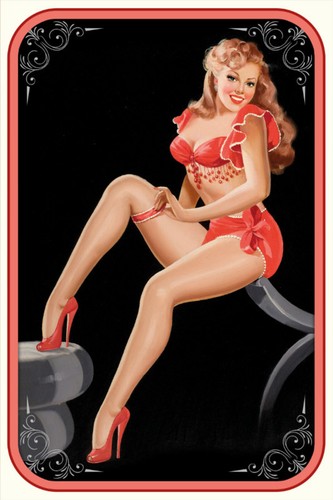 Blechschild 20x30 pin girl - 20x30,