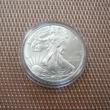 1 Oz American Silver Eagle
