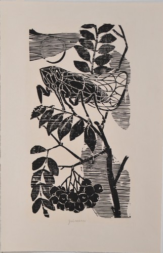 Willem grimm holzschnitt - willem,