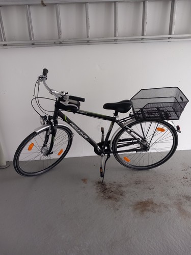 Herend farad herckules - herend,