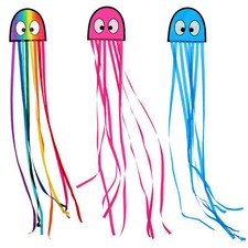 Wolkenstürmer Kinderdrachen