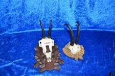 Konvolut Gamsbock Gams  Gämse