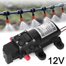 12V