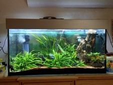 Aquarium 200l mit