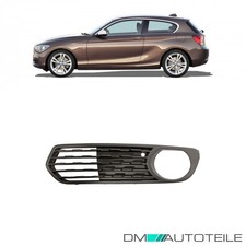 Nebelscheinwerfer Gitter