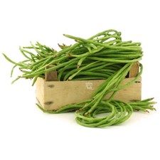 METER-BOHNE 20 Samen BIS ZU 90