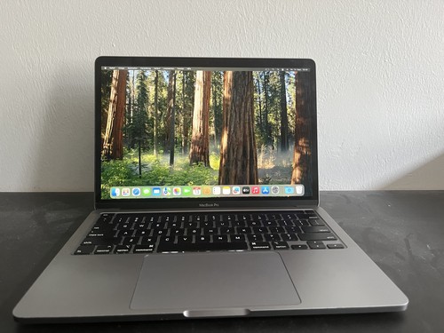 Apple macbook pro zoll - 13,3,