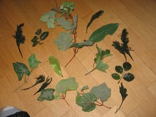 DEKO- RANKEN- BLÄTTER- KÜNSTLICH- EFEU- WEINLAUB- ROSEN- ZYPRESSEN etc. - 16-tlg