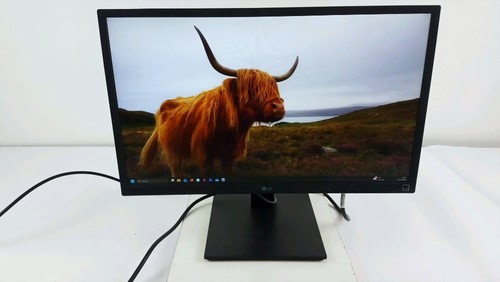 24bk550y business monitor - lg,