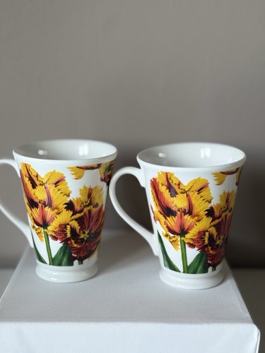 Zwei tassen papagei - papagei, tulpen