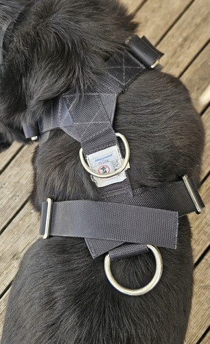 Hundesicherheitsgurt allsafe - hundesicherheitsgurt,,